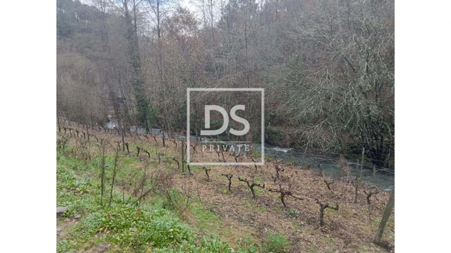 Quinta para Venda em Louredo e Fornelos Foto 7