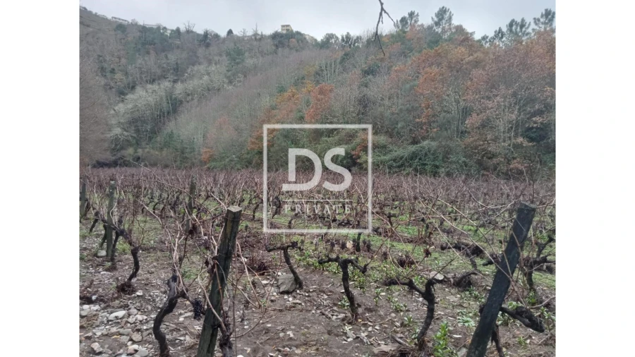 Quinta para Venda em Louredo e Fornelos Foto 12