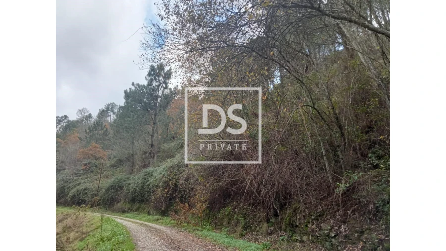 Quinta para Venda em Louredo e Fornelos Foto 9