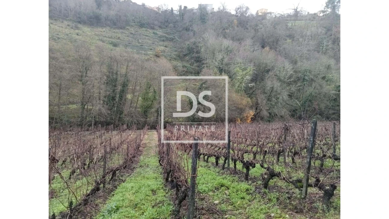 Quinta para Venda em Louredo e Fornelos Foto 11