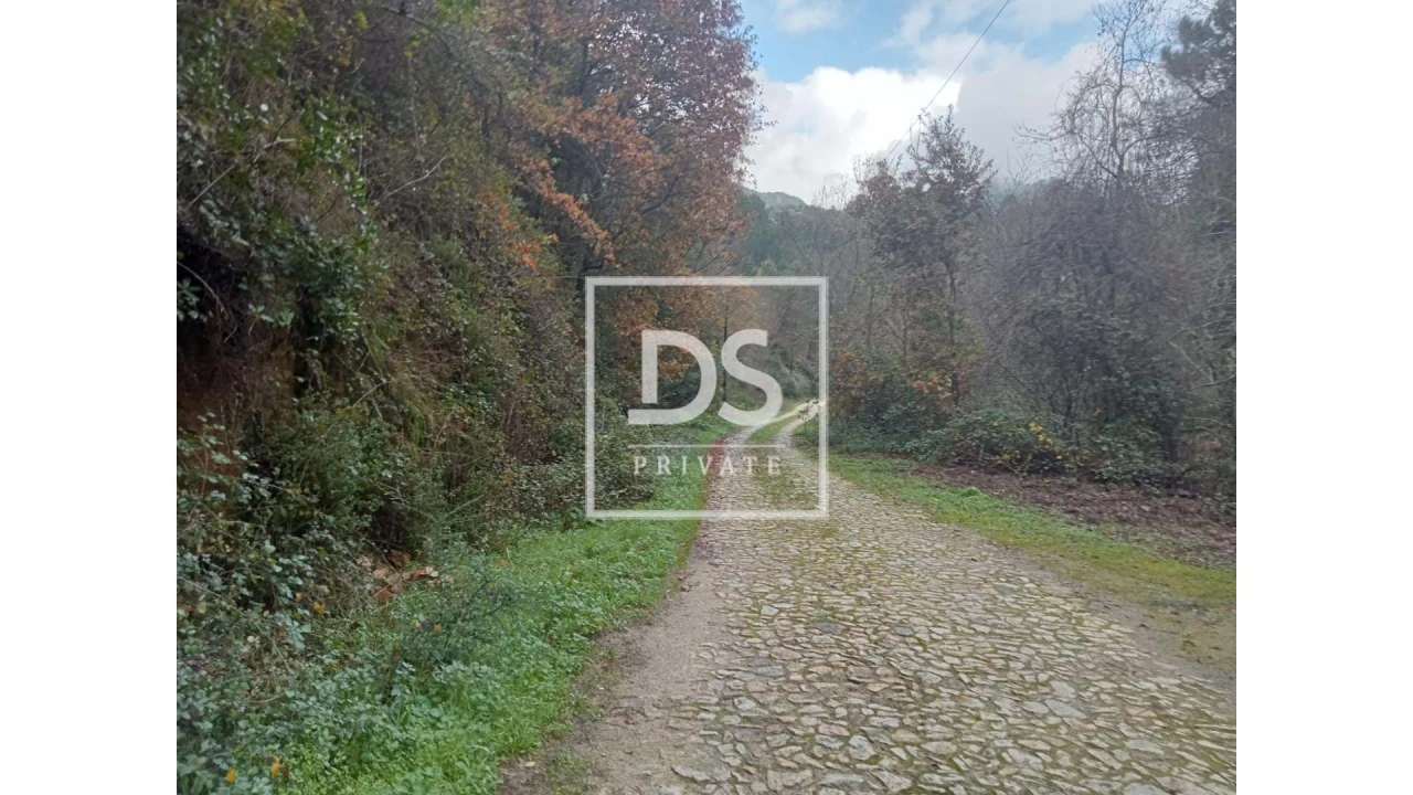 Quinta para Venda em Louredo e Fornelos Foto 17