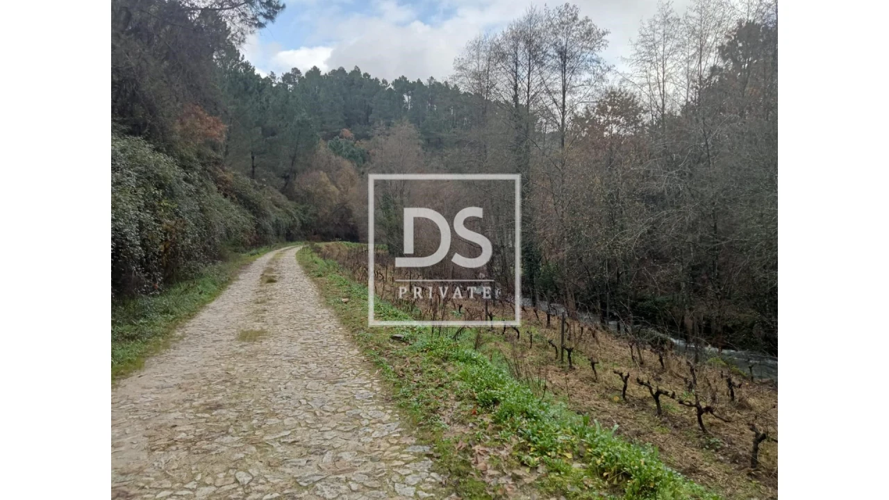 Quinta para Venda em Louredo e Fornelos Foto 21