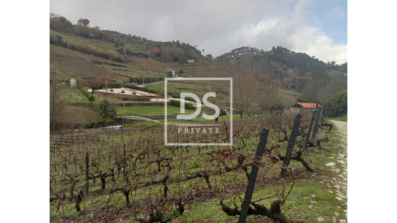 Quinta para Venda em Louredo e Fornelos Foto 16