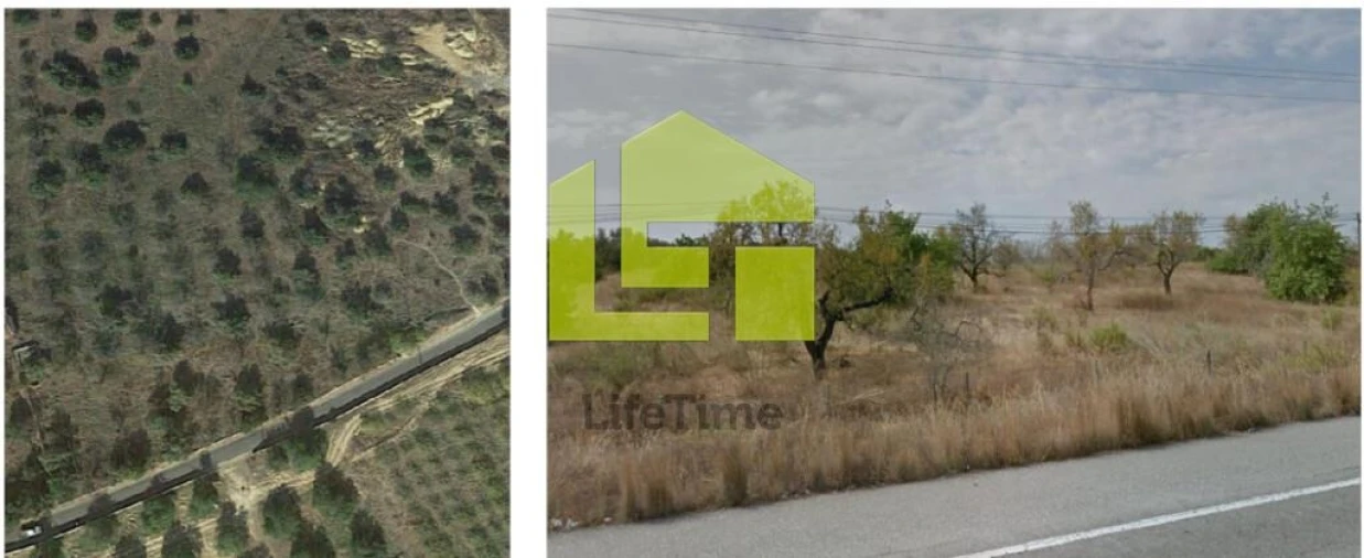 Terreno para Venda em Tavira (Santa Maria e Santiago) Foto 16