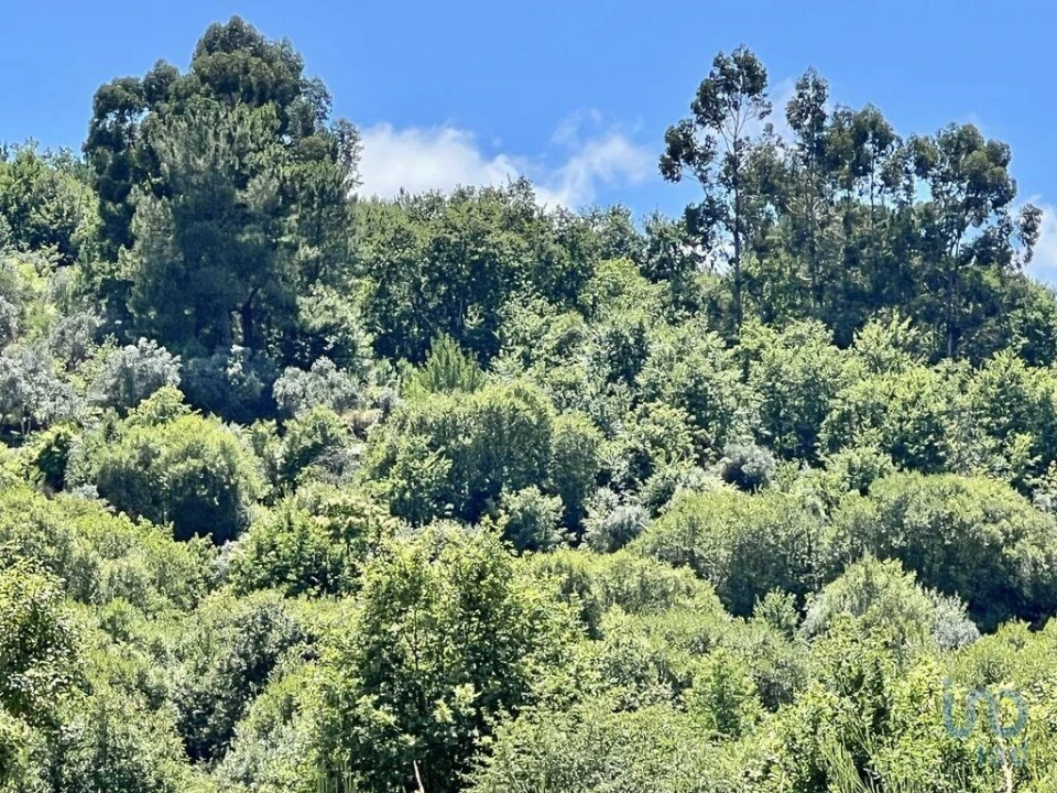 Terreno para Venda em São Paio Foto 12