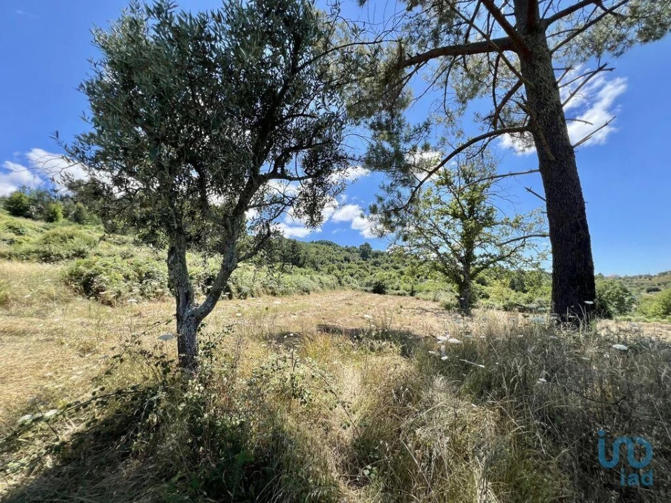 Terreno para Venda em São Paio Foto 4