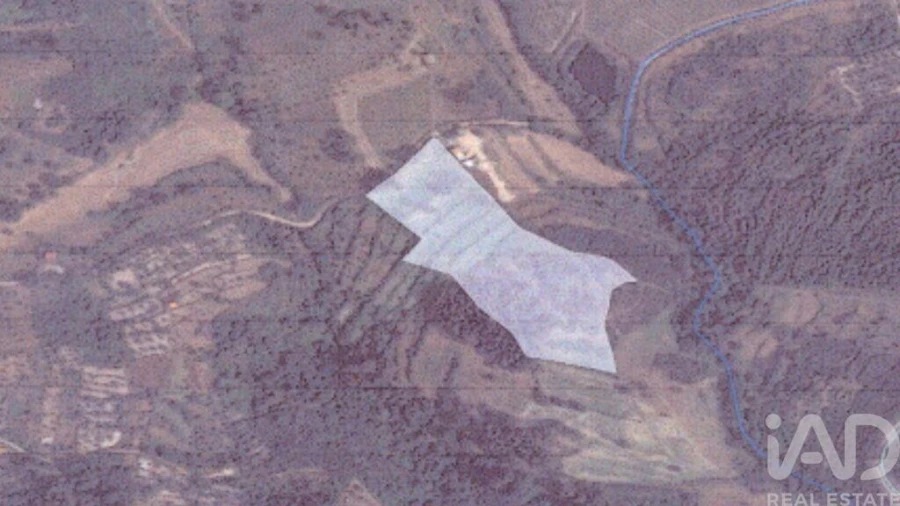 Terreno para Venda em São Paio Foto 17