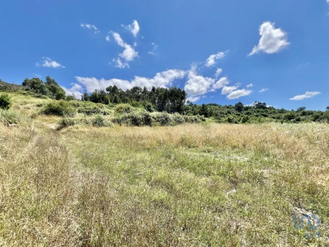 Terreno para Venda em São Paio Foto 7