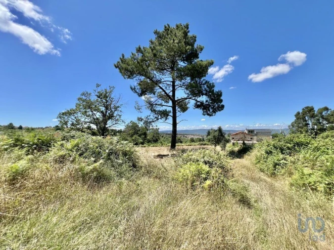 Terreno para Venda em São Paio Foto 8