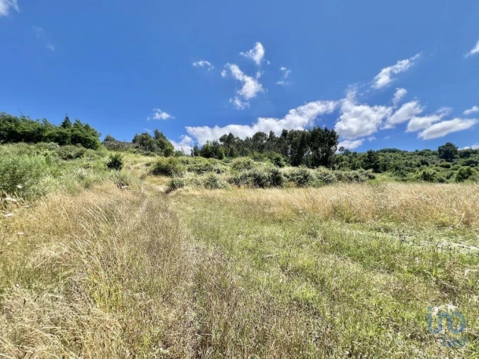 Terreno para Venda em São Paio Foto 6