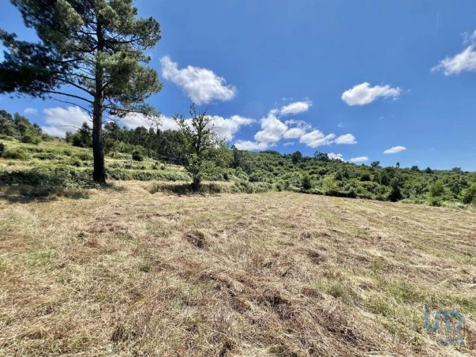 Terreno para Venda em São Paio Foto 2