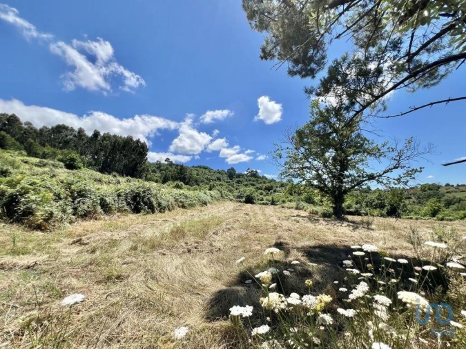 Terreno para Venda em São Paio Foto 5