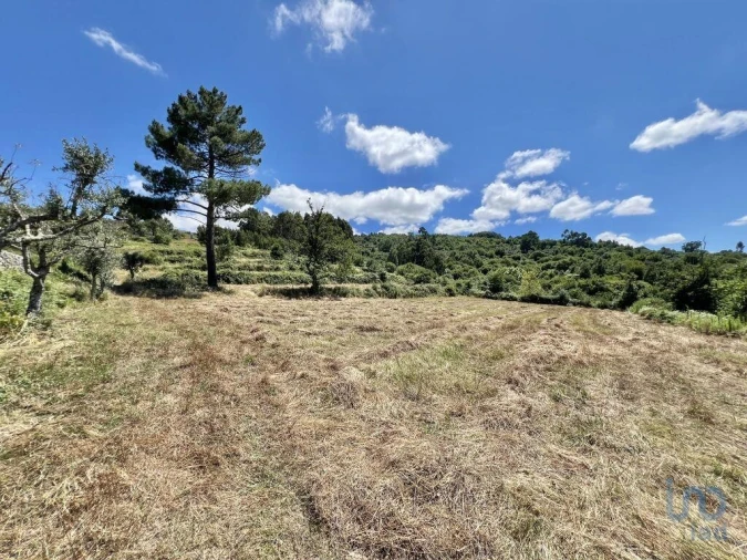 Terreno para Venda em São Paio