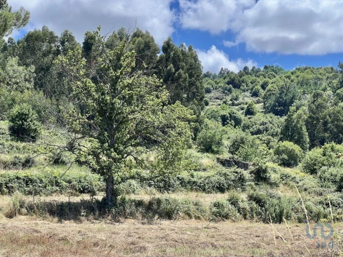 Terreno para Venda em São Paio Foto 10