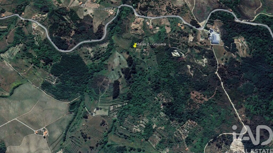 Terreno para Venda em São Paio Foto 16