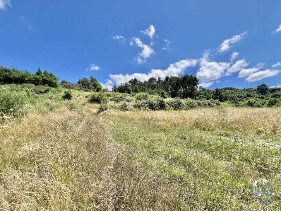 Terreno para Venda em São Paio Foto 6