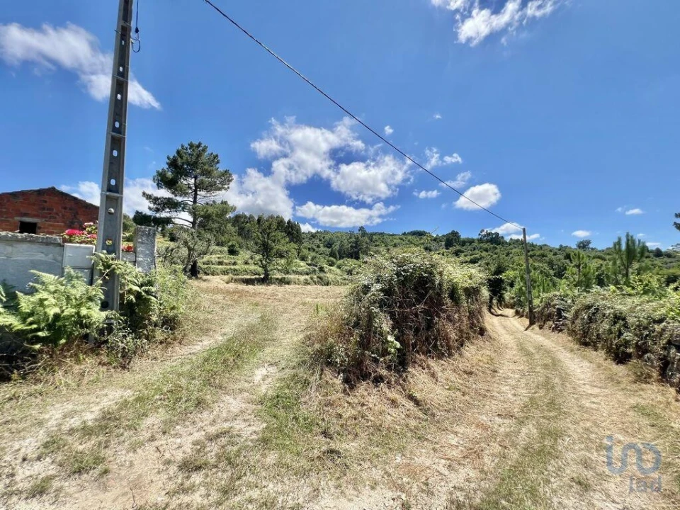 Terreno para Venda em São Paio Foto 9