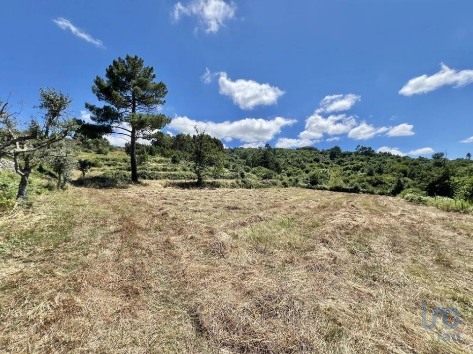 Terreno para Venda em São Paio Foto 1