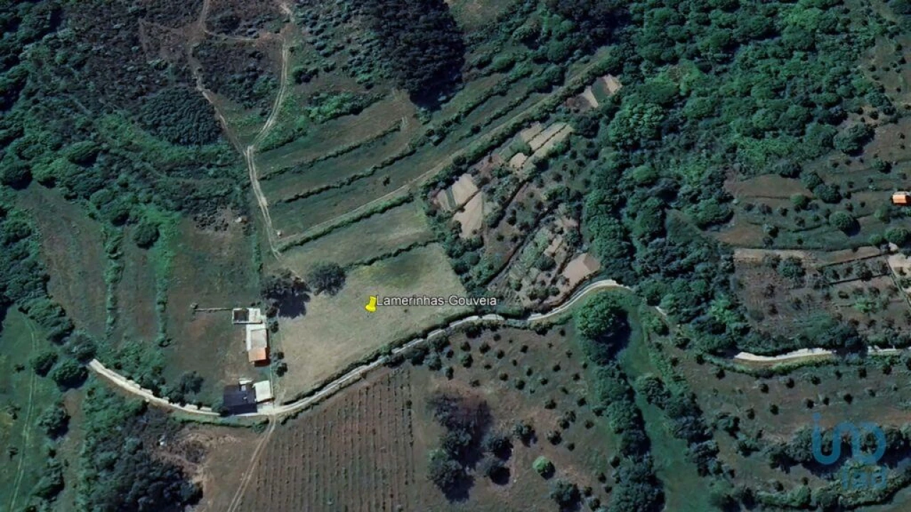 Terreno para Venda em São Paio Foto 14