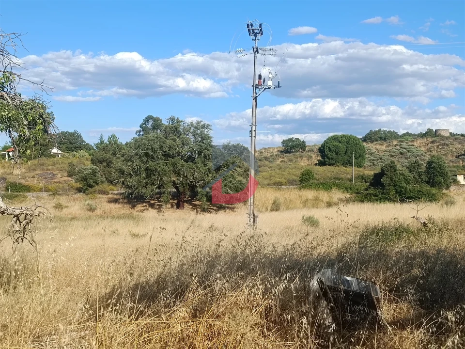 Terreno para Venda em Castelo Branco Foto 6