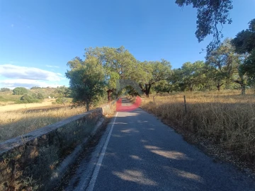 Terreno para Venda em Castelo Branco