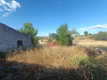 Terreno para Venda em Castelo Branco