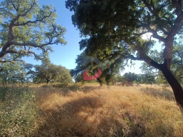 Terreno para Venda em Castelo Branco