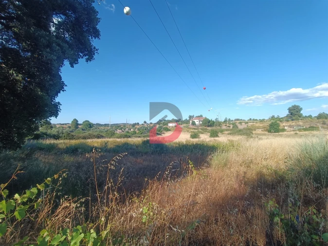 Terreno para Venda em Castelo Branco Foto 5