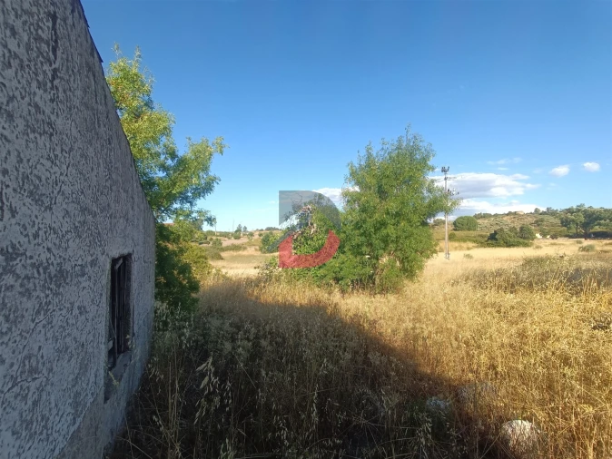 Terreno para Venda em Castelo Branco Foto 4