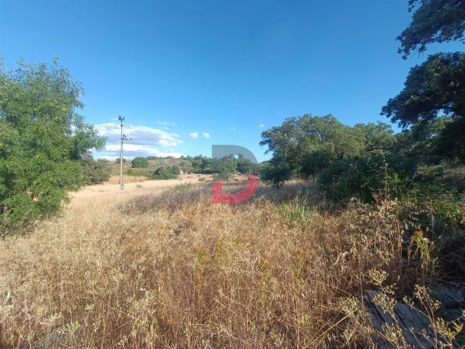 Terreno para Venda em Castelo Branco Foto 16