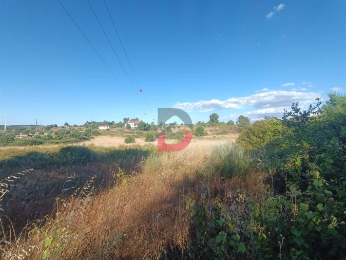 Terreno para Venda em Castelo Branco Foto 14
