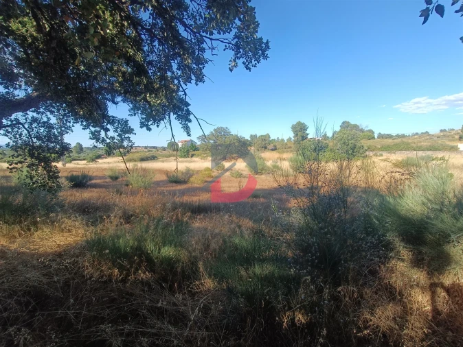 Terreno para Venda em Castelo Branco Foto 12