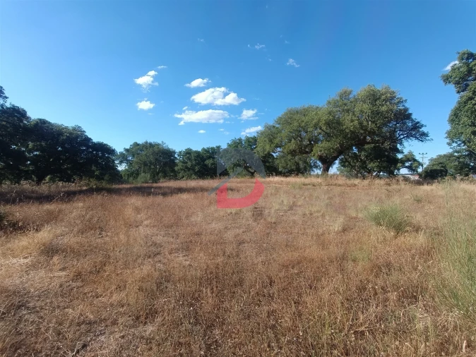 Terreno para Venda em Castelo Branco Foto 2