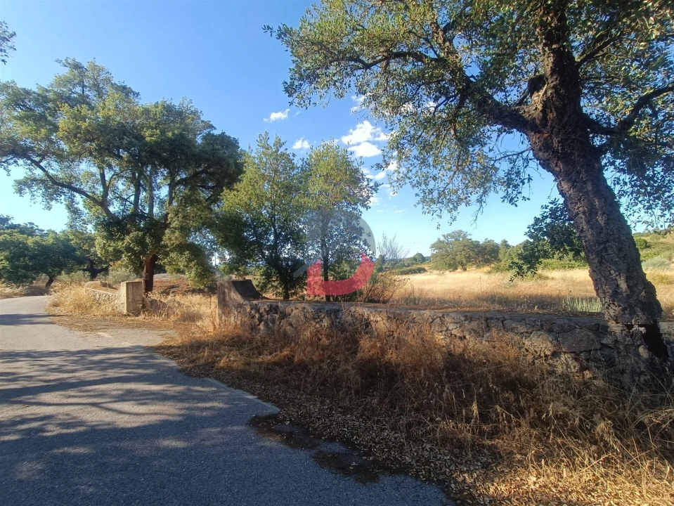 Terreno para Venda em Castelo Branco Foto 11