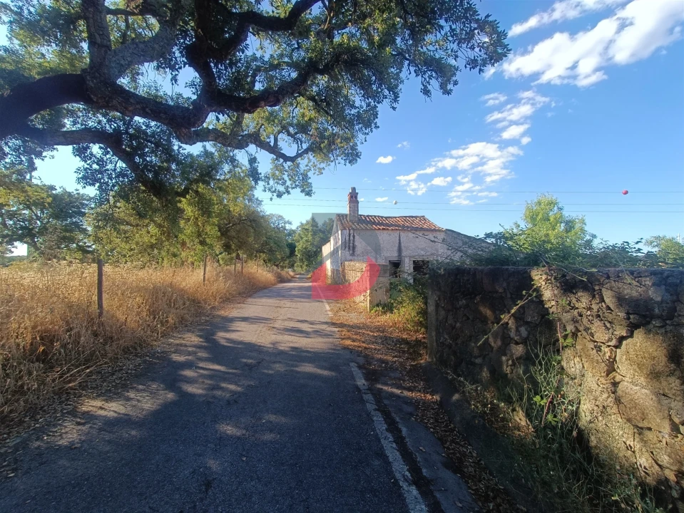 Terreno para Venda em Castelo Branco Foto 18