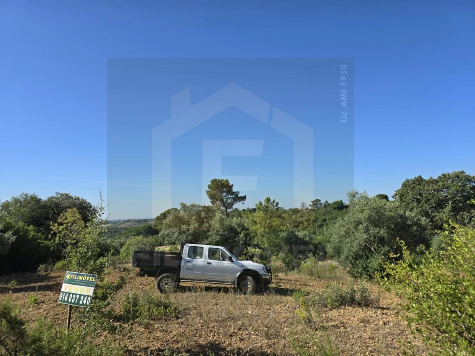 Terreno para Venda em Malhou, Louriceira e Espinheiro Foto 5