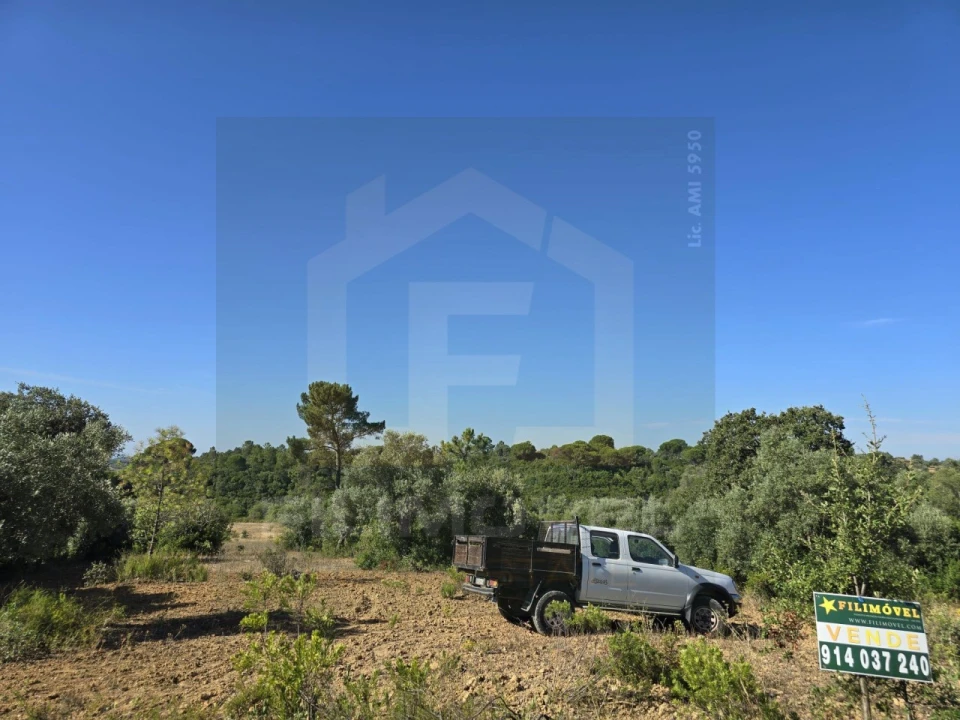 Terreno para Venda em Malhou, Louriceira e Espinheiro Foto 6