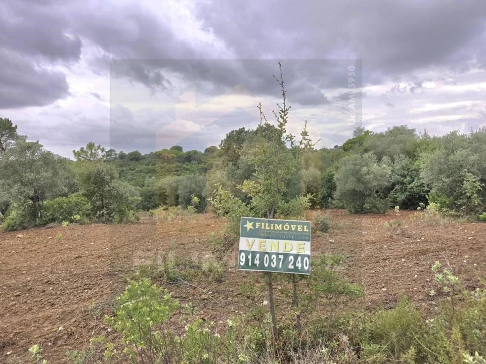 Terreno para Venda em Malhou, Louriceira e Espinheiro Foto 1