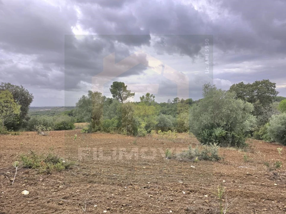 Terreno para Venda em Malhou, Louriceira e Espinheiro Foto 3