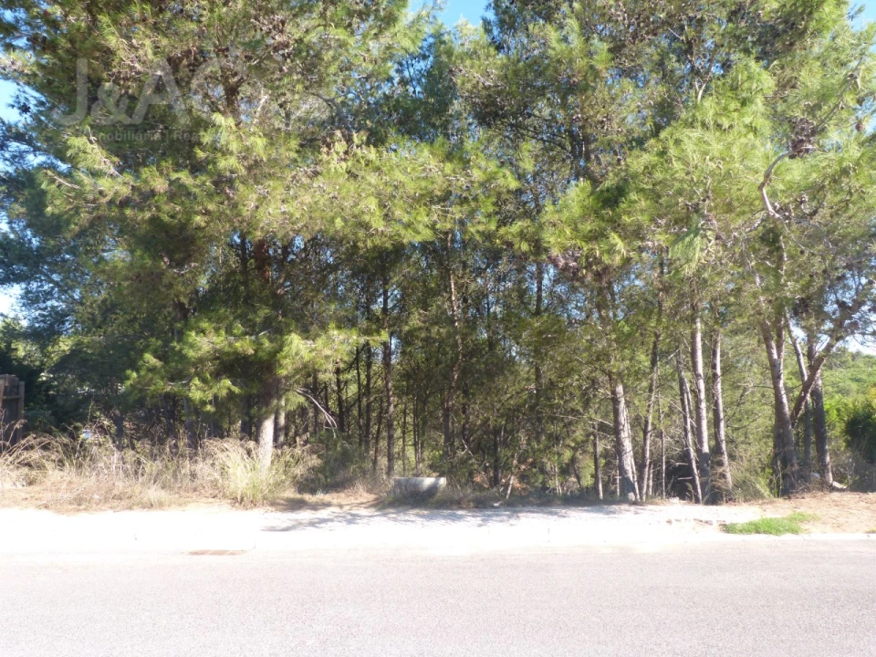 Terreno para Venda em Cascais e Estoril Foto 7