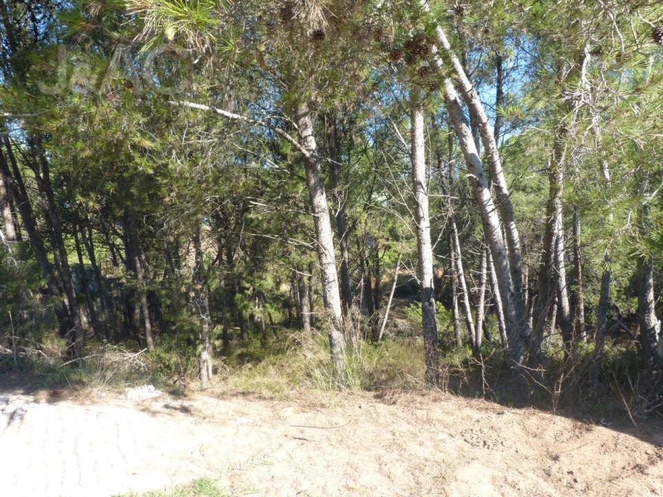Terreno para Venda em Cascais e Estoril Foto 8