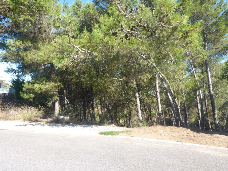 Terreno para Venda em Cascais e Estoril Foto 9