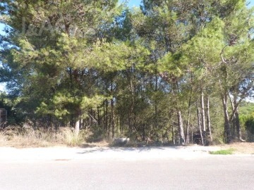 Terreno para Venda em Cascais e Estoril
