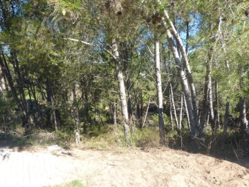Terreno para Venda em Cascais e Estoril
