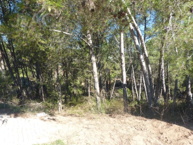 Terreno para Venda em Cascais e Estoril Foto 8
