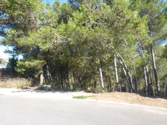Terreno para Venda em Cascais e Estoril Foto 9