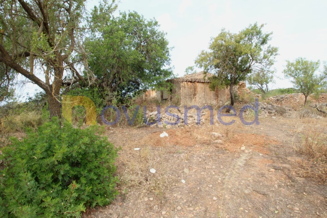 Quinta para Venda em Ferreiras Foto 4