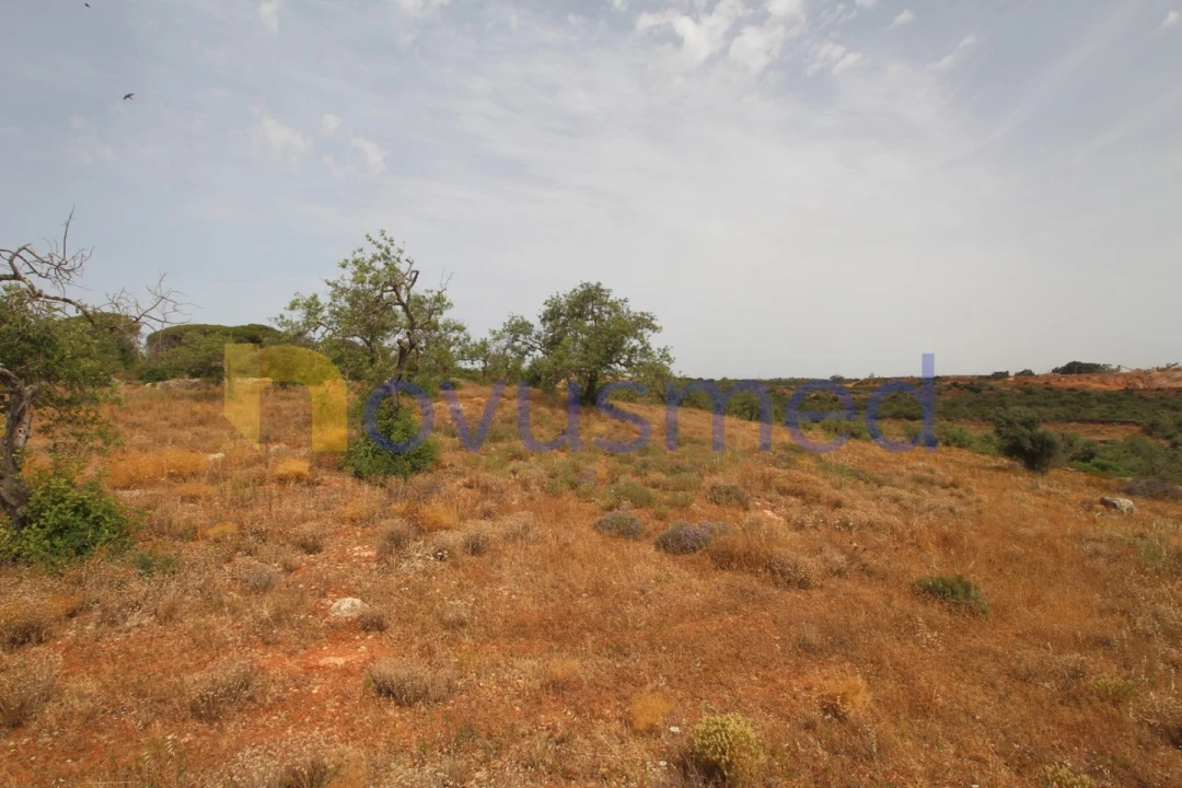 Quinta para Venda em Ferreiras Foto 15