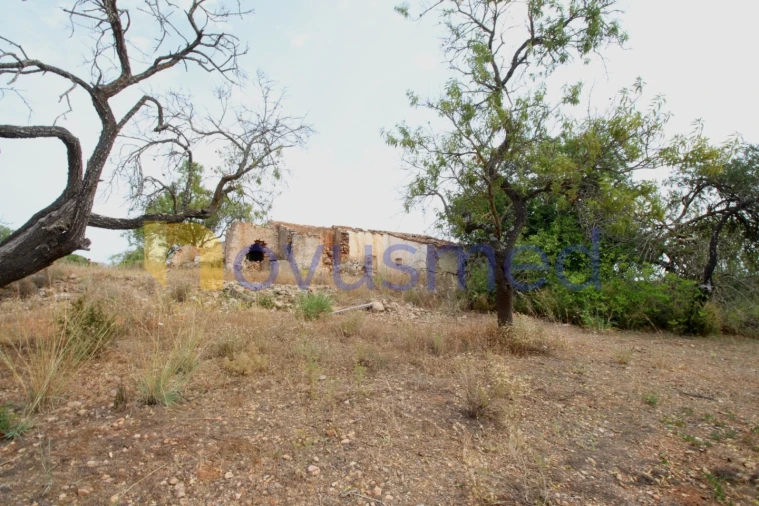 Quinta para Venda em Ferreiras Foto 3