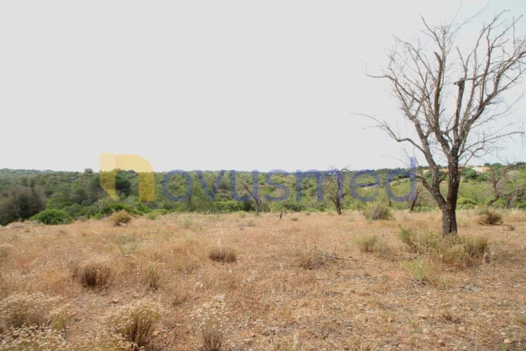 Quinta para Venda em Ferreiras Foto 13